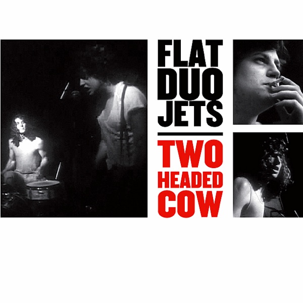 Two Headed Cow artwork
