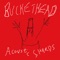 Box Elders - Buckethead lyrics
