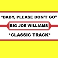 Baby, Please Don't Go - Big Joe Williams