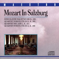 Mozart Quartet Salzburg & Bernard Baumgartner - Flute Quartet In D, K 285: Adagio