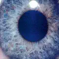 Add Reality