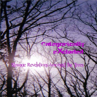 Strange Revelations (Instrumental)
