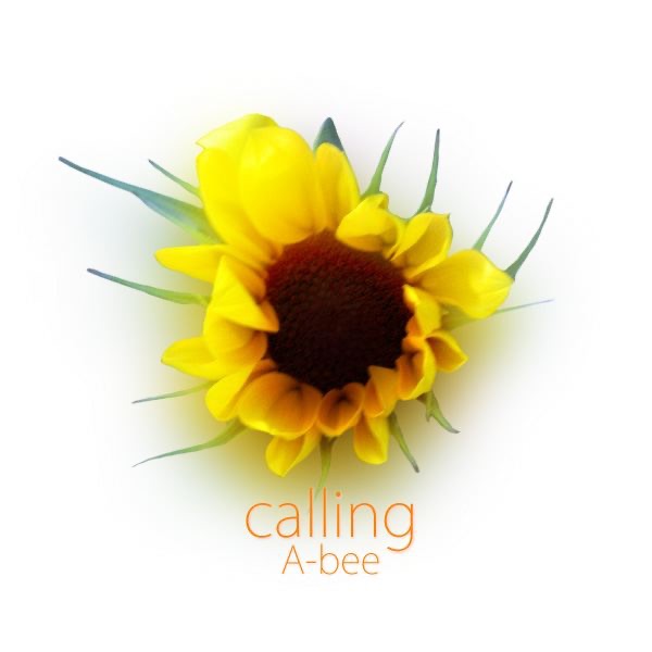 calling - Single