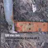 Bill Van Loo - a Rhodes Jam