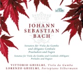 Viola da Gamba Sonata in G Minor, BWV 1029: II. Adagio artwork