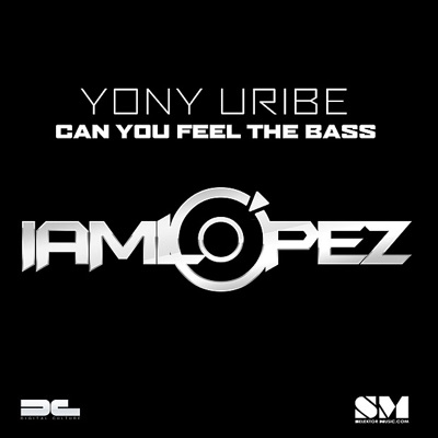 Can You Feel the Bass - Single