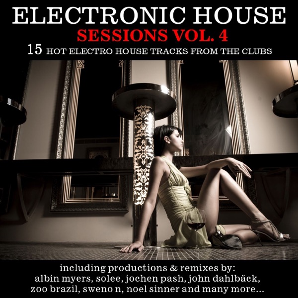 Electronic House, Vol. 4