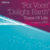 Foi Voce / Delight Earth - EP