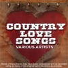 Country Love Songs, 2011