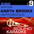 American Honky Tonk Bar Association (Karaoke Instrumental Track) [In the Style of Garth Brooks]