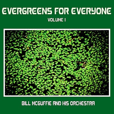 Bill McGuffie and His Orchestra