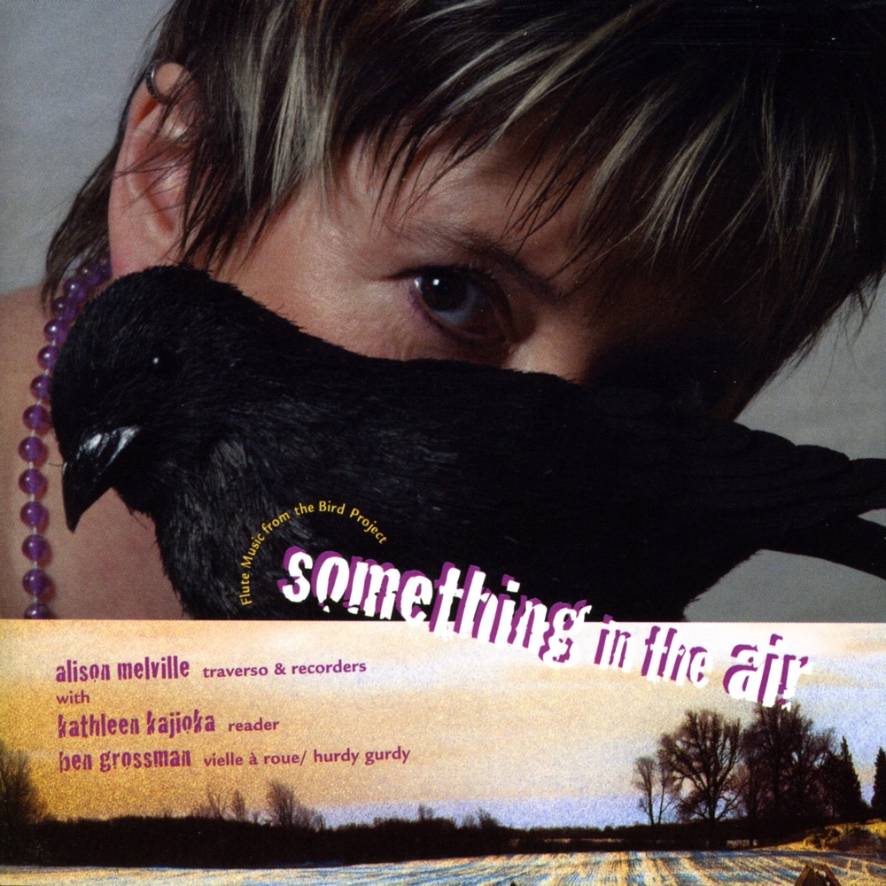 Обложка альбома «Something in the Air: Flute music from the Bird Project» — Alison Melville, Ben Grossman, Kathleen Kajioka & Bird Project