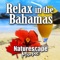 Bimini Adventures - Naturescape Music lyrics