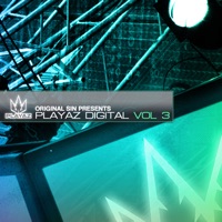 Playaz Digital, Vol. 3 - Original Sin