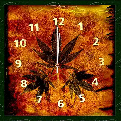 Ascolta 'Lunch Time' di Various Artists