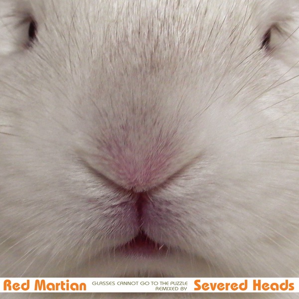 Обложка альбома «Glasses Cannot Go to the Puzzle» — Red Martian Remixed By Severed Heads