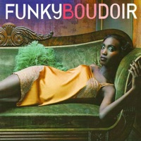 Funky Boudoir - Never Knew Love Like This