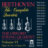 String Quartet No. 14 in C-Sharp Minor, Op. 131: II. Allegro molto Vivace - artwork