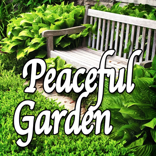 Peaceful Garden (Nature Sounds)