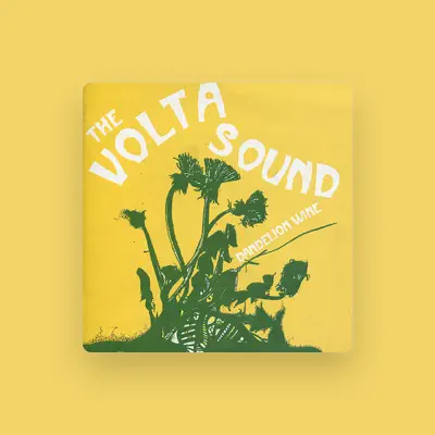 Listen to The Volta Sound, watch music videos, read bio, see tour dates & more!