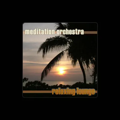 Listen to Meditation Orchestra, watch music videos, read bio, see tour dates & more!