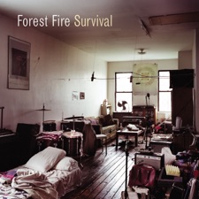 Forest Fire - Fortune Teller
