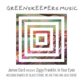 In Your Eyes (Jolie Cherie Remix) James Curd & Ziggy Franklin