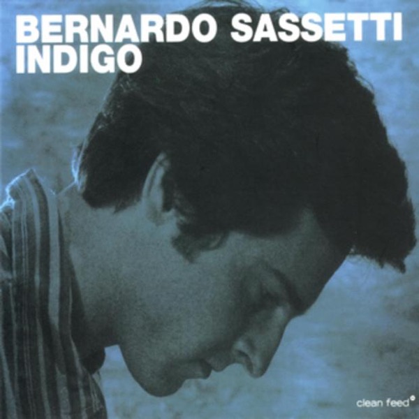 Indigo cover