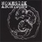 Suffocation Secrets - Homesick Abortions lyrics