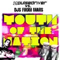 Youth Of The Nation (Pulsedriver Radio Mix)