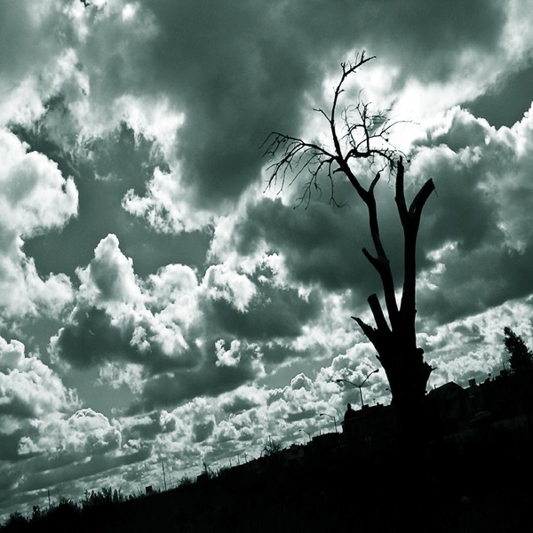 SW - 103 SIETE EL DIAL INCOMPARABLE