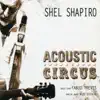 Shel Shapiro - Eleanor Rigby