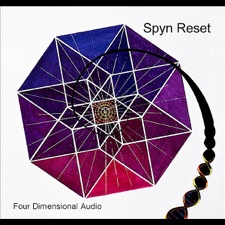 Spyn Reset - New Theory