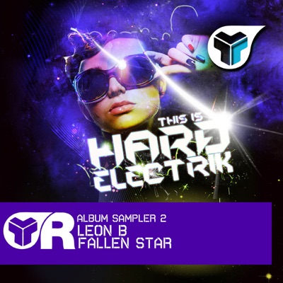 This Is Hard Electrik Album Sampler 2 - Single
