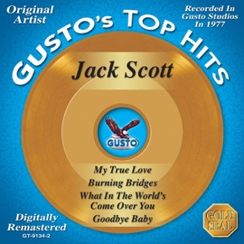 What In the World’s Come Over You Jack Scott