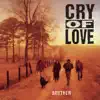 Cry of Love - Too Cold In the Winter