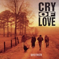 Cry of Love - Too Cold In the Winter
