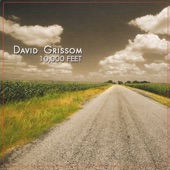 David Grissom - Good Day for the Blues