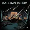 Falling Blind - Reason