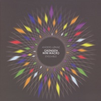 Mini Macro Ensemble - Anders Lønne Grønseth