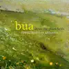 Bua - Hughie Travers' Jig / Cooley's Jig