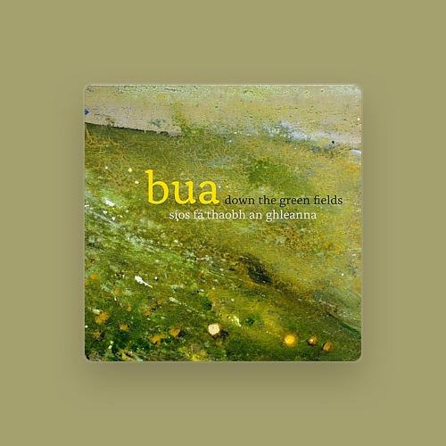 Bua