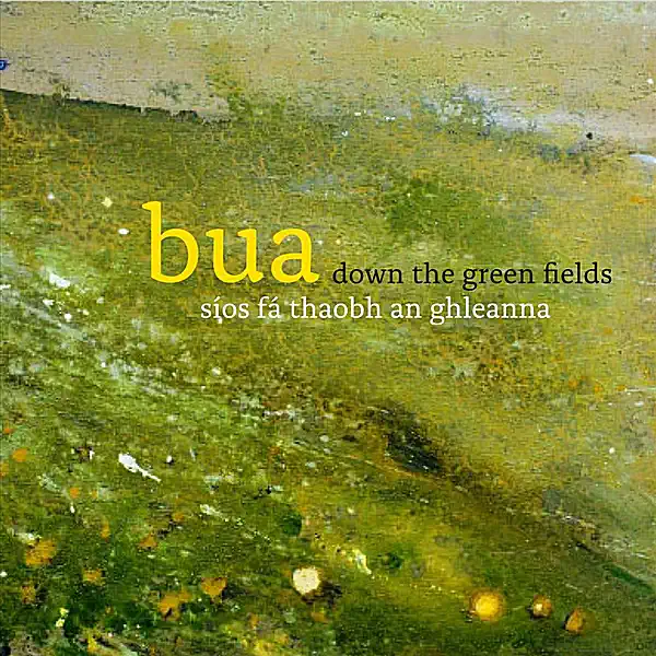 The Braes of Maas / Johnny Doherty's — Bua