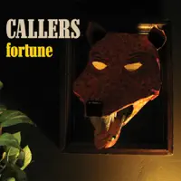 More Than Right — Callers