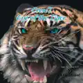 Eye Of The Tiger (Sunset Crew Remix)