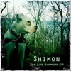 Shimon