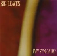 Meillionen — Big Leaves