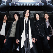 Cover art for STORY (TV edit) by camino