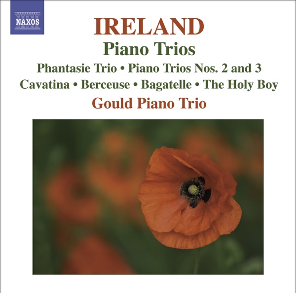 Ireland: Piano Trios, Cavatina, Berceuse, Bagatelle & The Holy Boy