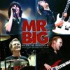 Mr. Big